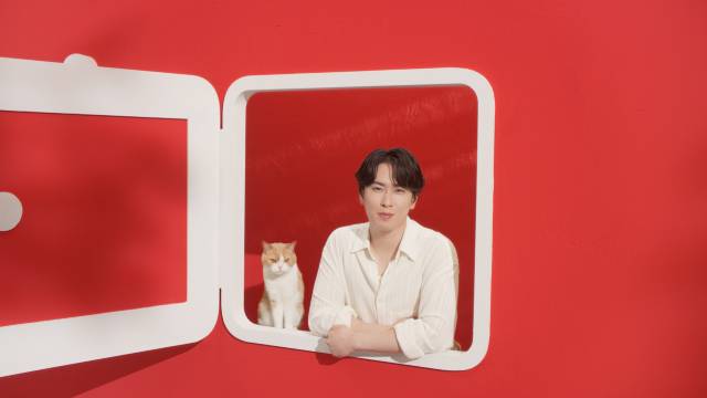 宮舘涼太、「ほけんの窓口」新イメージキャラクター就任 リアル猫の“招き猫様”とCM共演