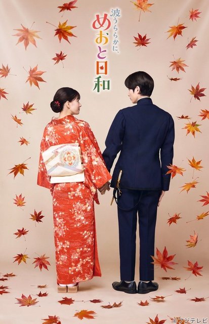 「波うららかに、めおと日和」続編キャストからコメント到着! 芳根京子&本田響矢の新ビジュアルも