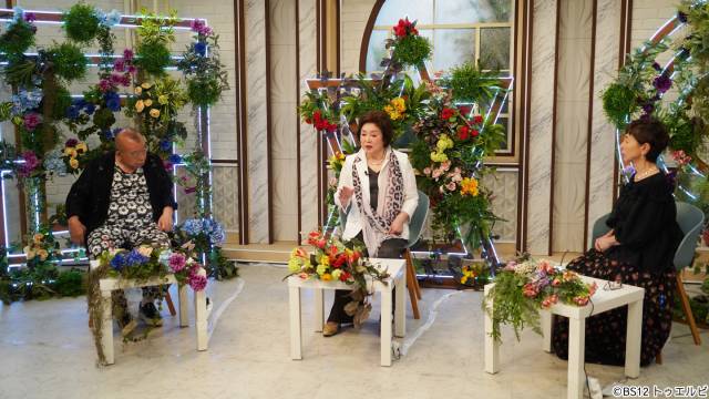 佐久間良子が語る壮絶な戦争体験と俳優人生 息子との共演秘話も「鶴瓶ちゃんとサワコちゃん」