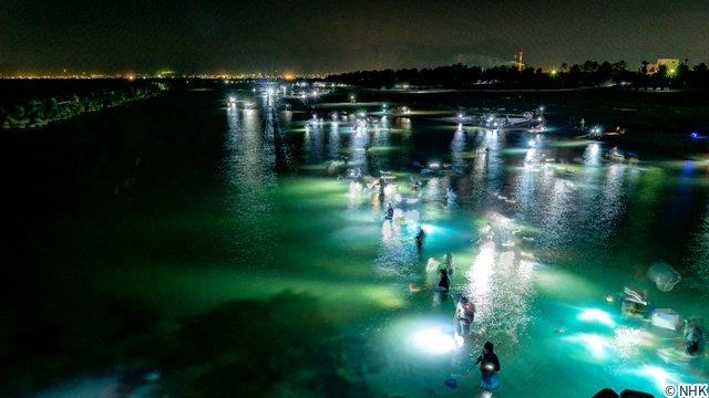 土屋アンナが海中ロケ「中部ネイチャーシリーズ」で富山湾の神秘に迫る