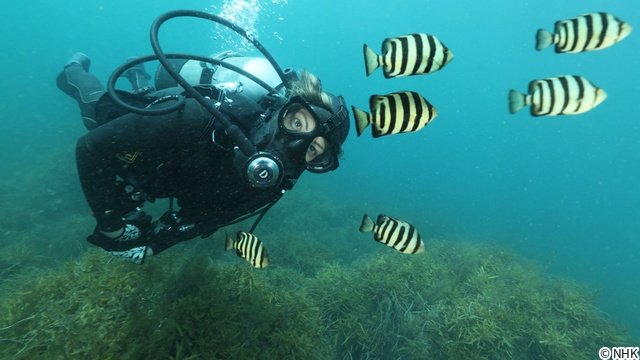 土屋アンナが海中ロケ「中部ネイチャーシリーズ」で富山湾の神秘に迫る