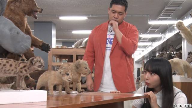 松井ケムリ&山之内すず「アニマルワンダー 赤ちゃんヒミツ研究所」で動物の“かわいい”を探る