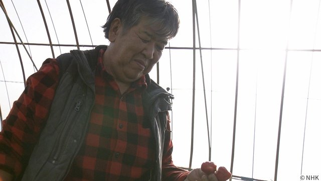 「新プロジェクトX」福岡発“いちごの王様”誕生までの逆転劇に迫る