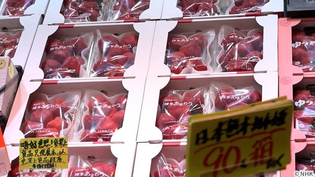 「新プロジェクトX」福岡発“いちごの王様”誕生までの逆転劇に迫る