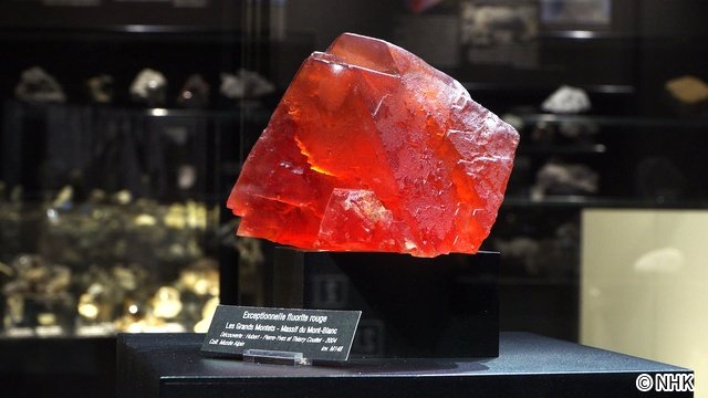 断崖、砂漠、屋根裏!? 意外な場所に眠る世界のお宝を発掘「スゴ腕!お宝ハンターズ」スタート