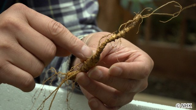 断崖、砂漠、屋根裏!? 意外な場所に眠る世界のお宝を発掘「スゴ腕!お宝ハンターズ」スタート