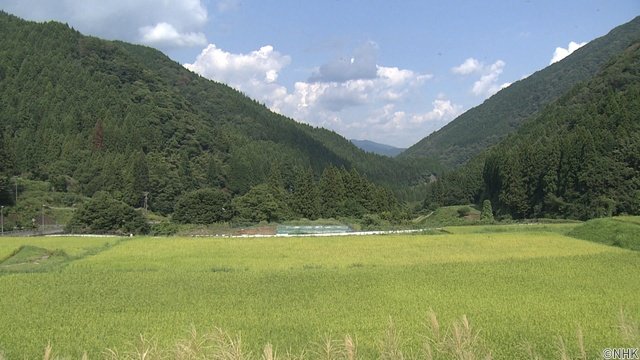 日食なつこがナレーション担当 揖斐川町の診療所に密着した「ぎふスペシャル」を放送