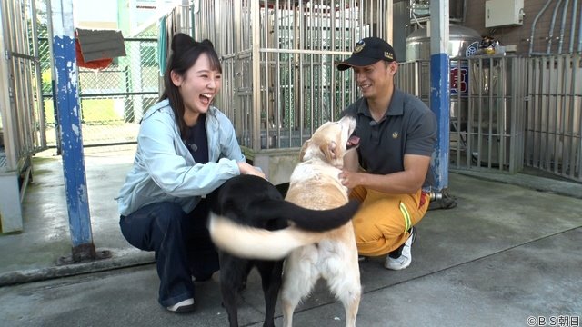 つるの剛士も驚き! 森千晴が台湾のネコ村へ「ネコいぬワイドショー」殺処分ゼロの現実にも迫る