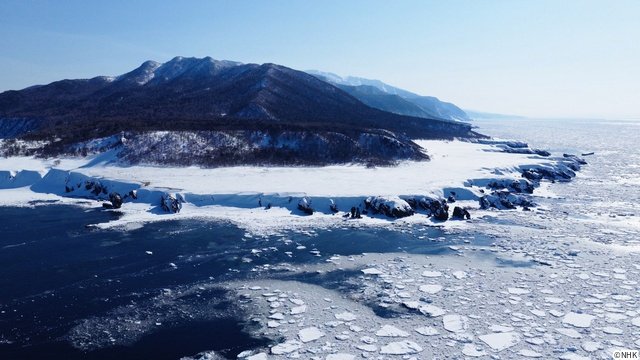 NHKスペシャル「ヒグマ 異変の海に生きる（仮）」が放送！　番組関連の写真展も開催
