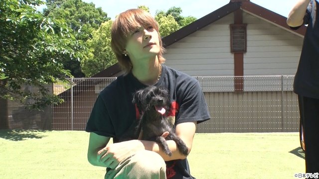 M!LK・佐野勇斗＆山中柔太朗が“師匠”相葉雅紀と長崎県で保護犬の一斉トリミングに挑戦！
