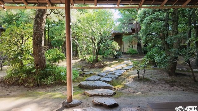 小泉孝太郎&高嶋ちさ子「プラチナファミリー」で偉人のひ孫の素顔と400年続く茶道一家に迫る