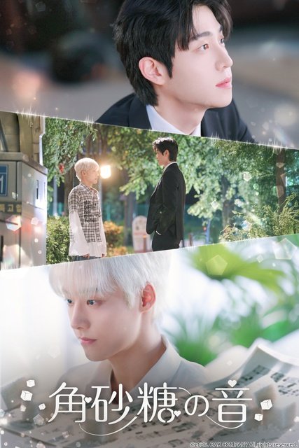 韓国BL「角砂糖の音」がFODで独占配信！　青年と天才作曲家の甘くて危険な関係