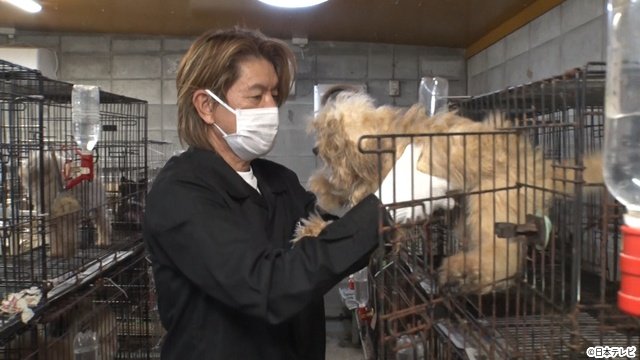 相葉雅紀が繁殖業者の崩壊現場へ サンシャイン池崎の新企画も「みんなの動物園」3時間SP