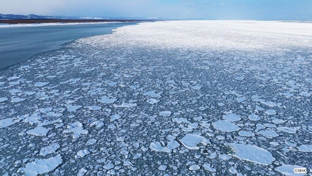 北海道道スペシャル「オホーツク異変～生命の楽園に何が～」再放送！　知床半島の今を見つめる
