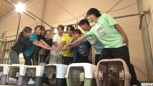 森保一監督が「24時間テレビ」で相葉雅紀、ヒロミ、森本慎太郎と保護犬トリミングに初挑戦!
