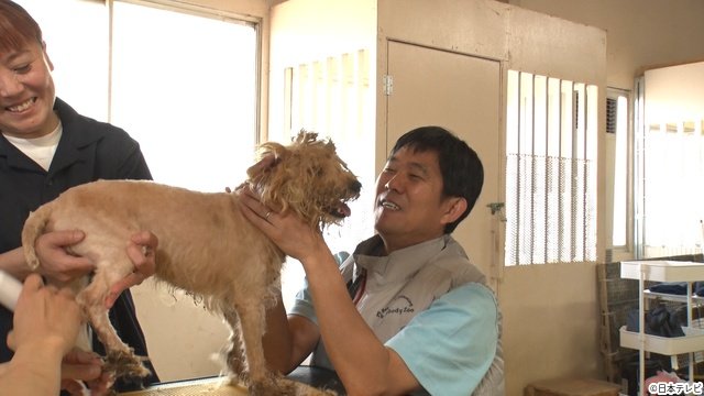 森保一監督が「24時間テレビ」で相葉雅紀、ヒロミ、森本慎太郎と保護犬トリミングに初挑戦!